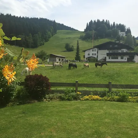 Unique In The Center Of Elmau Near Skilift Dağ evi Ellmau